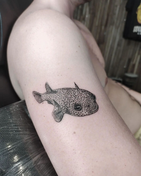 irie-tattoo-siargao-porcupine-fish